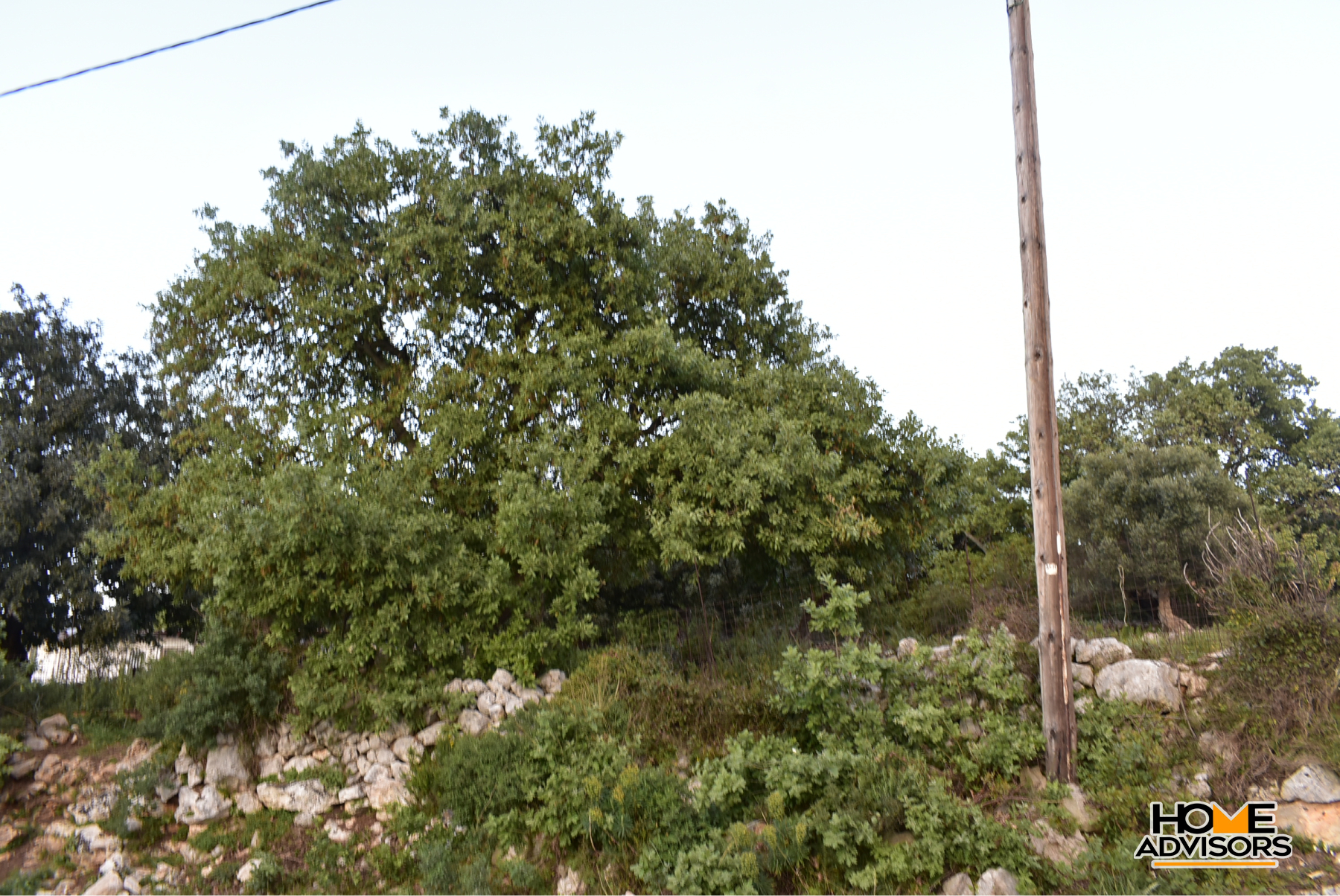 Two plots of 10500 sqm in total in the village of Gerani, Rethymno