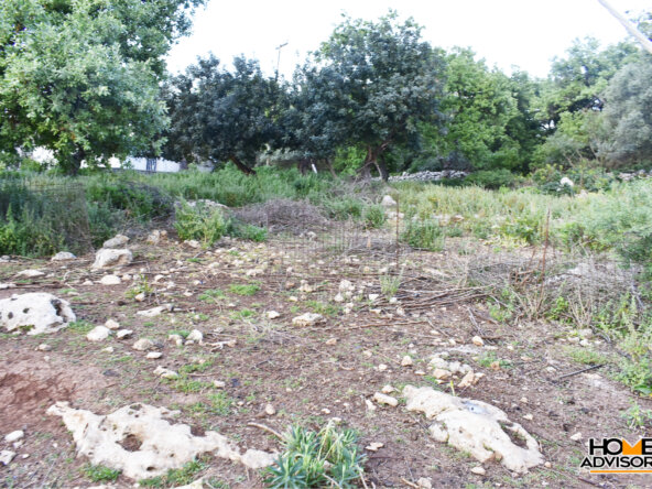 Two plots of 10500 sqm in total in the village of Gerani, Rethymno