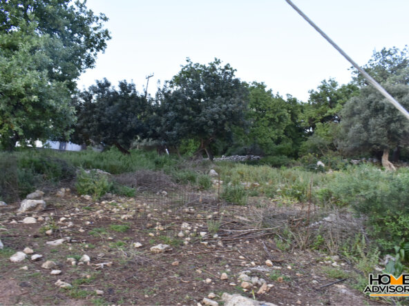 Two plots of 10500 sqm in total in the village of Gerani, Rethymno