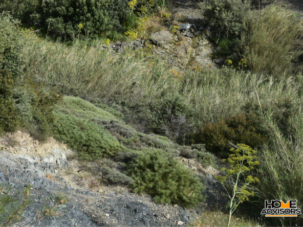 3500 sqm plot near Plakias Preveli Beach
