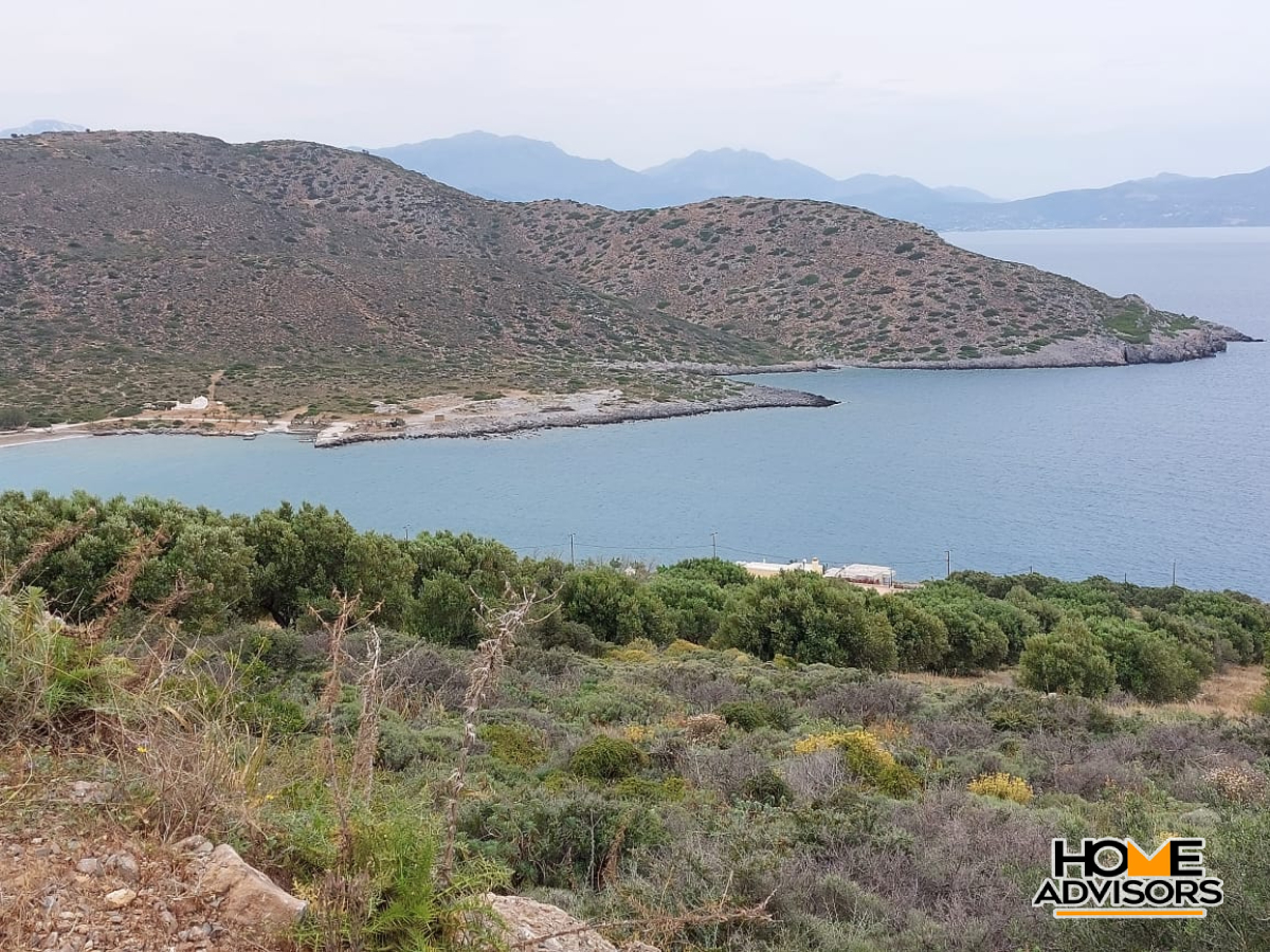 8000 sqm plot with panoramic view in the area of Tholos, Kavousi