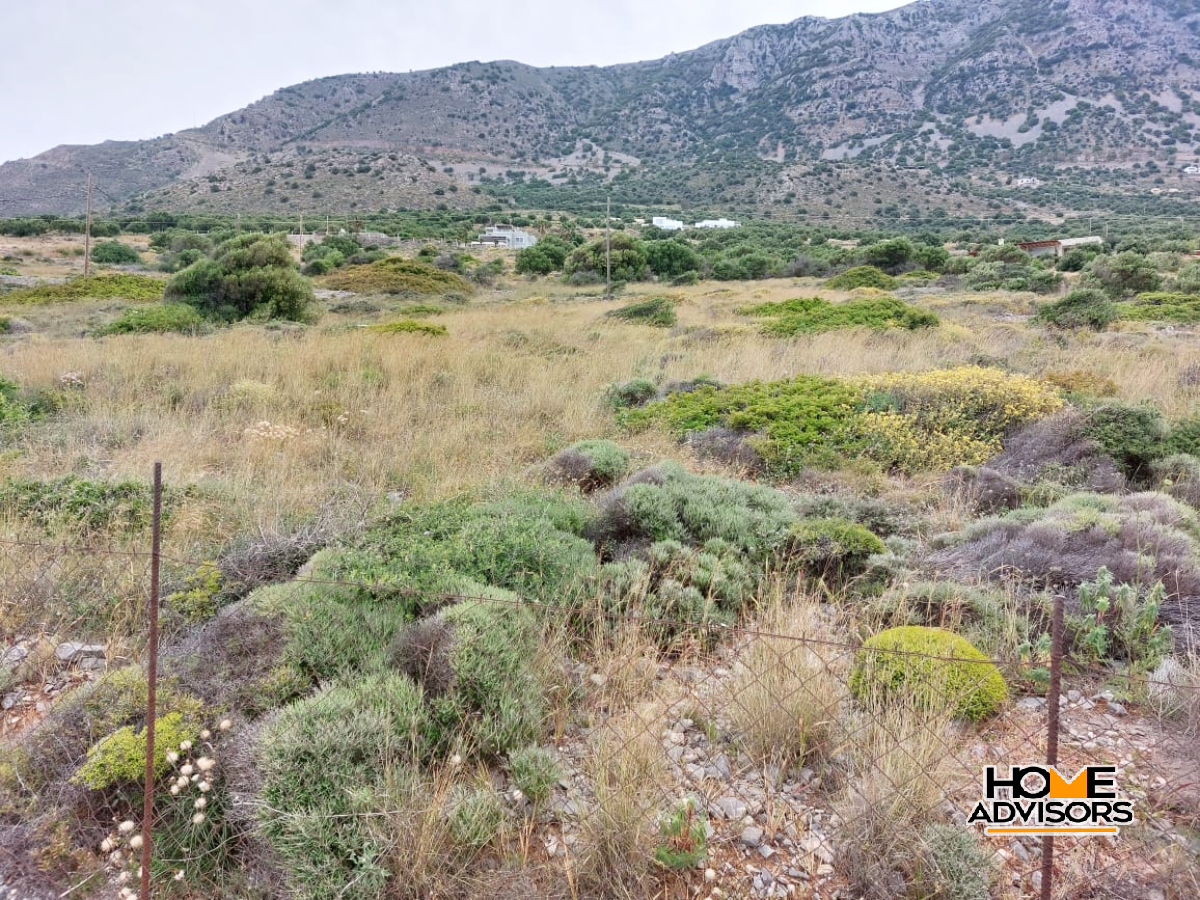 6500 sqm, Waterfront, plot in the area of Tholos, Kavousi