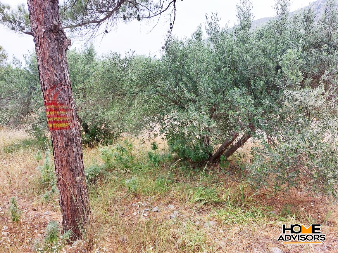 7000 sqm plot, 100 from the sea, in the area of Tholos, Kavousi