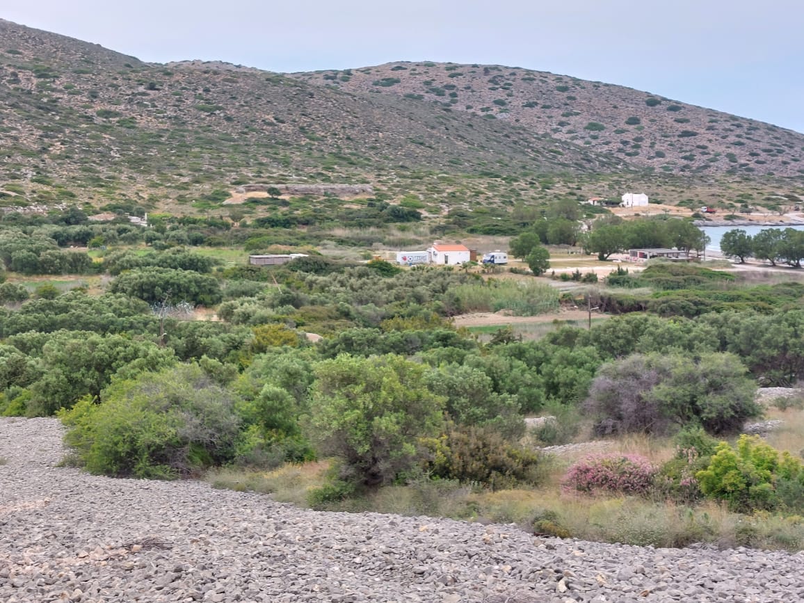 7000 sqm plot in the area of Tholos, Kavousi