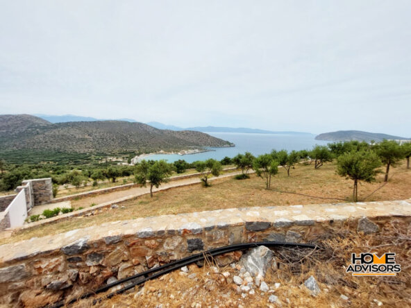 6000 sqm seaview plot in the area of Tholos Kavousi