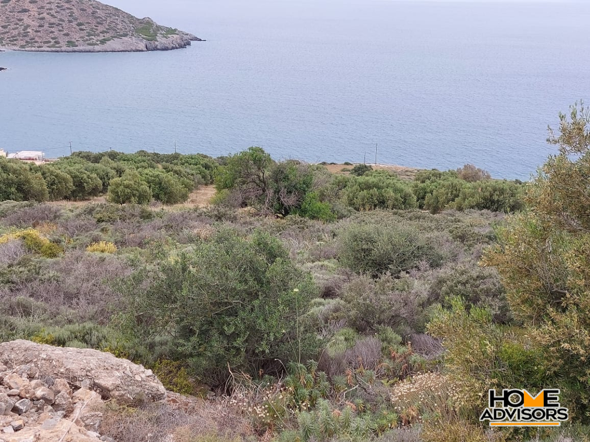 8000 sqm plot with panoramic view in the area of Tholos, Kavousi