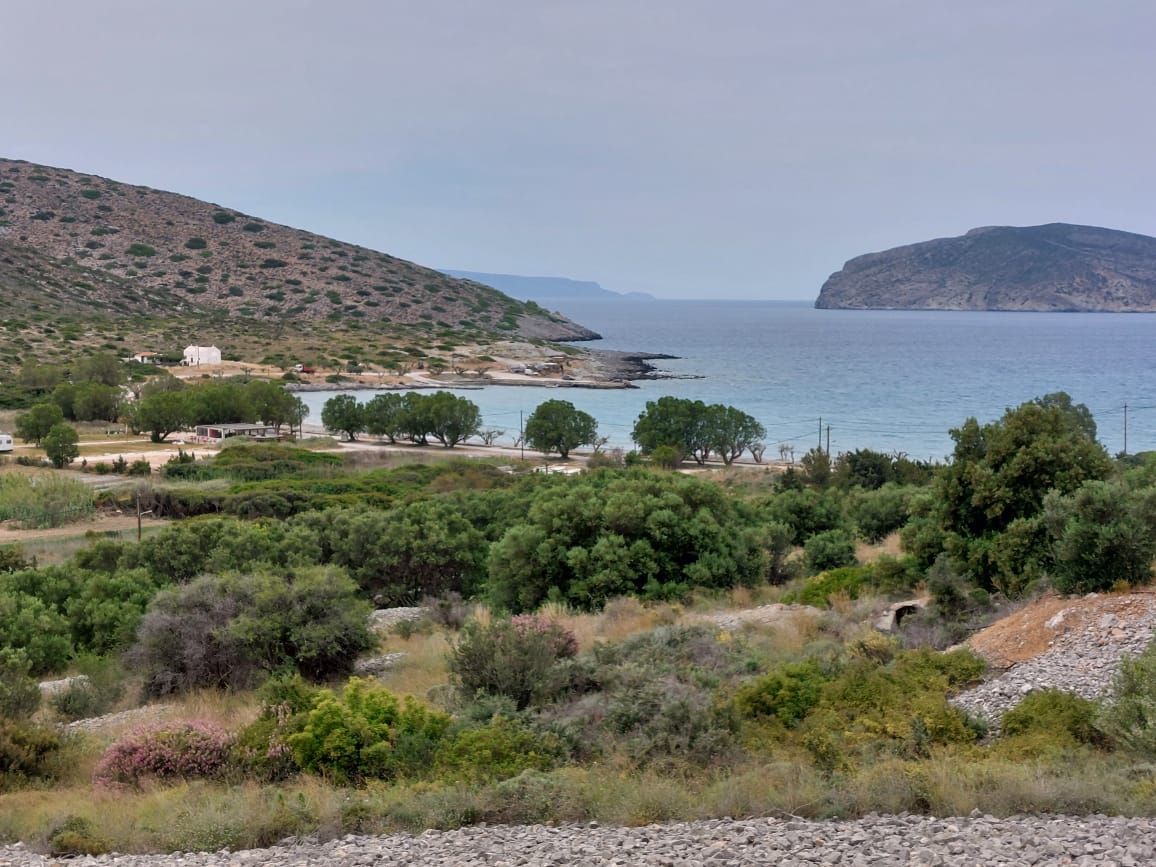 7000 sqm plot in the area of Tholos, Kavousi