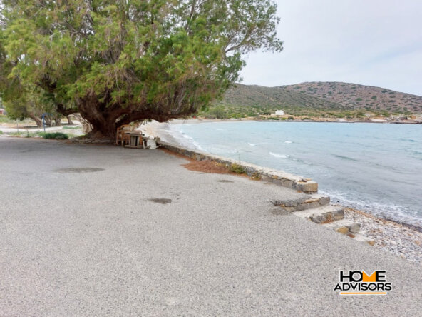 7000 sqm plot, 100 from the sea, in the area of Tholos, Kavousi