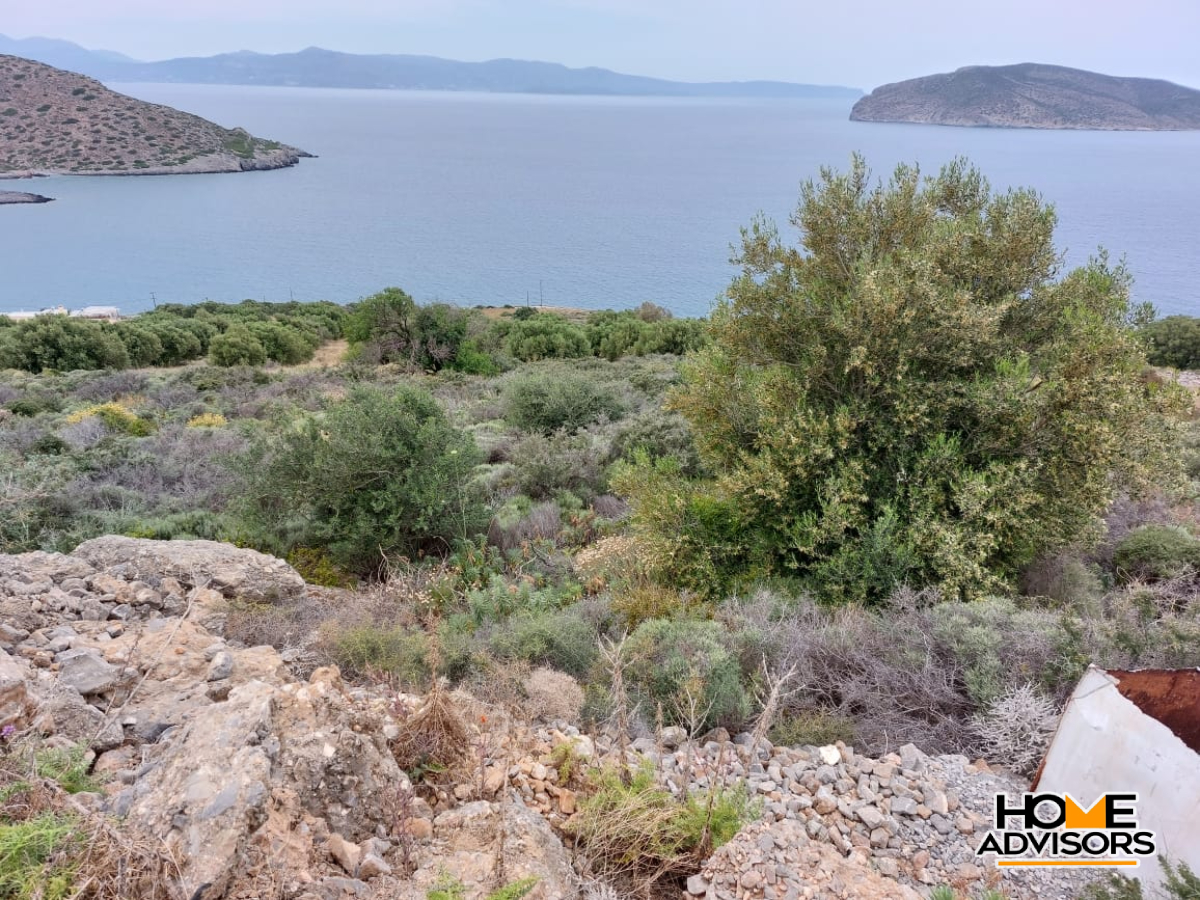 8000 sqm plot with panoramic view in the area of Tholos, Kavousi