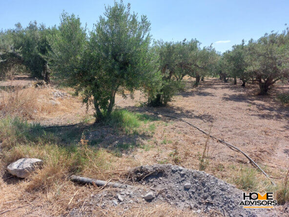 Seaview, 4000 sqm plot 3km from Ierapetra