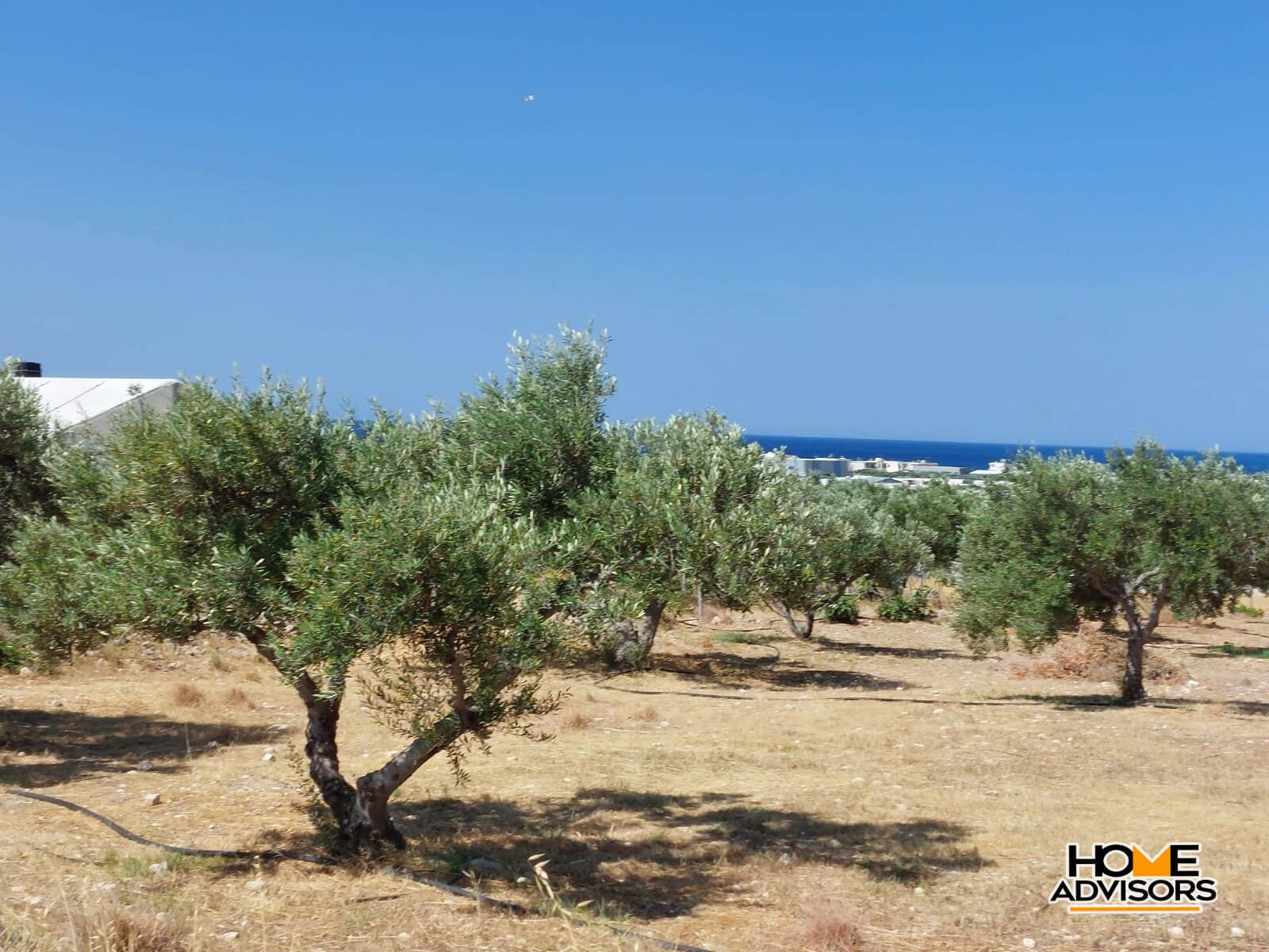 Seaview, 4000 sqm plot 3km from Ierapetra