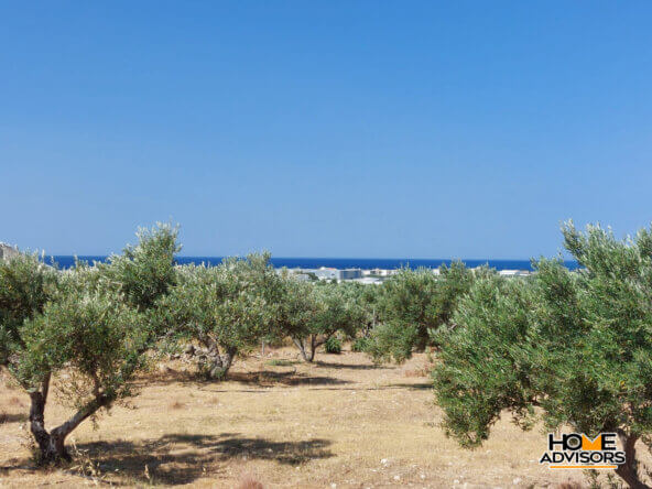 Seaview, 4000 sqm plot 3km from Ierapetra