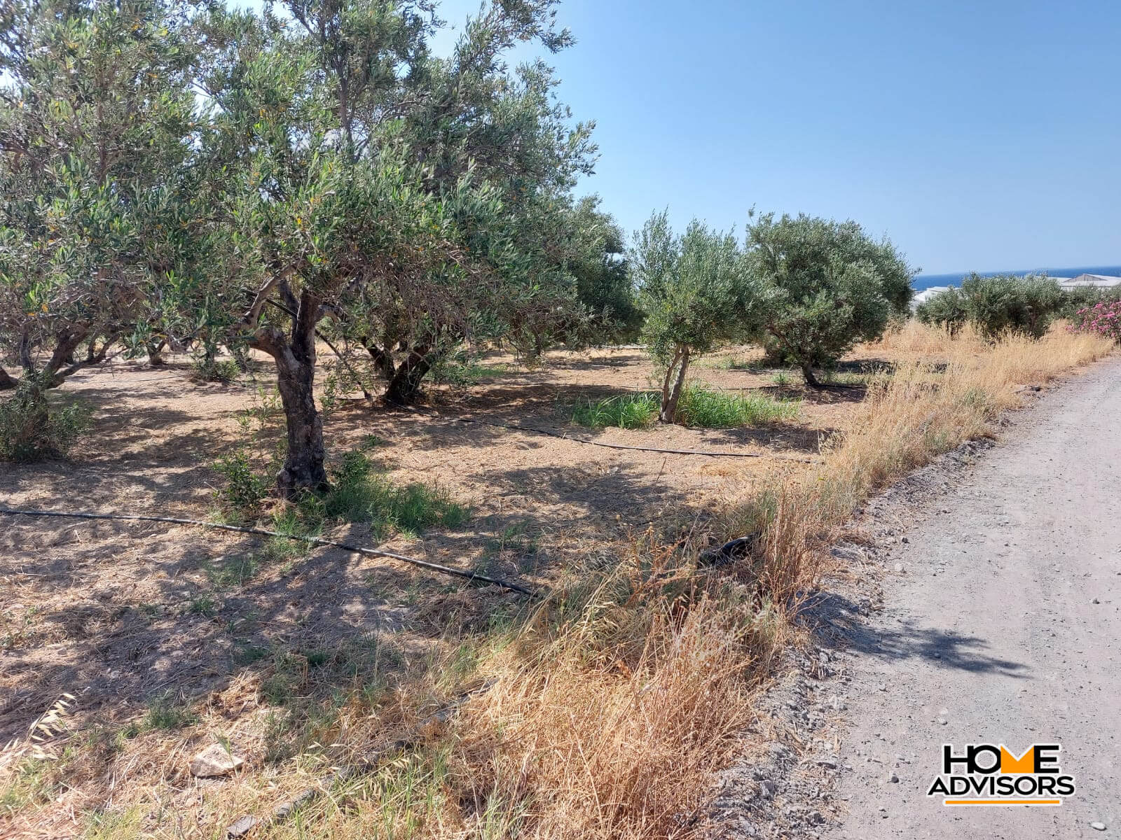 Seaview, 4000 sqm plot 3km from Ierapetra