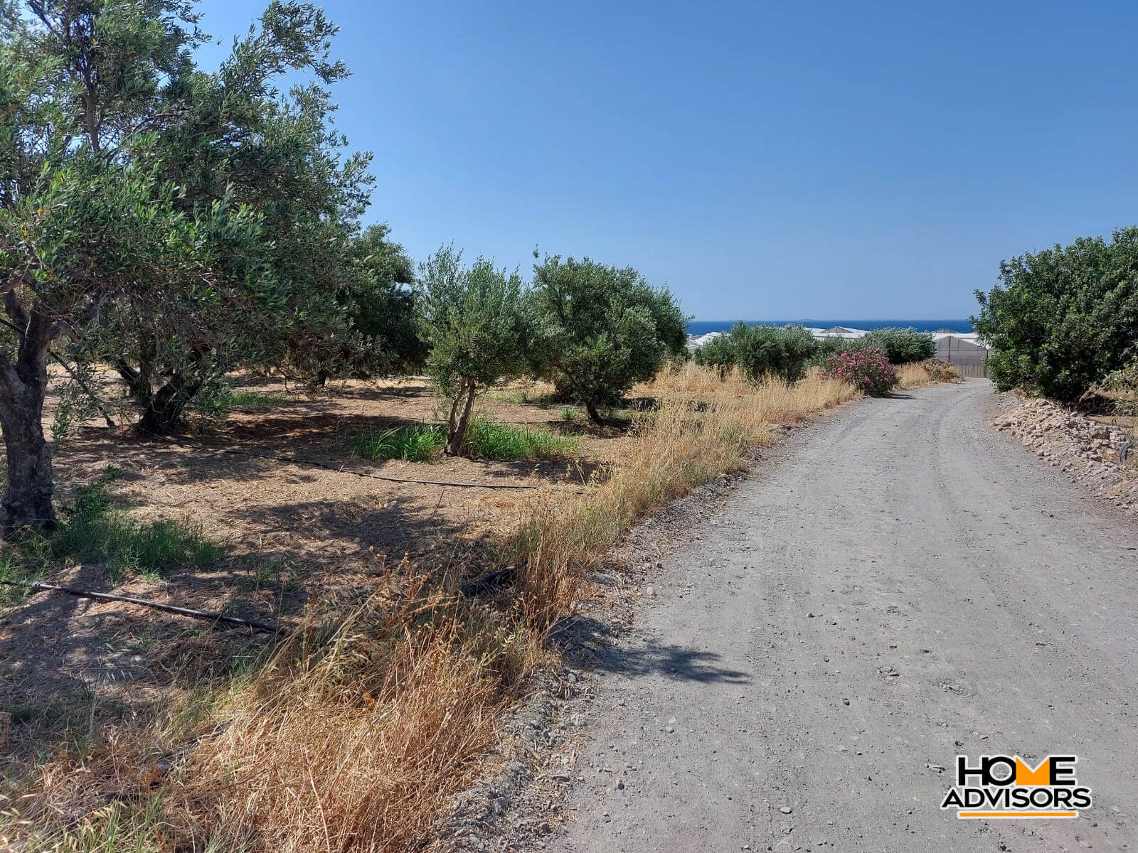 Seaview, 4000 sqm plot 3km from Ierapetra