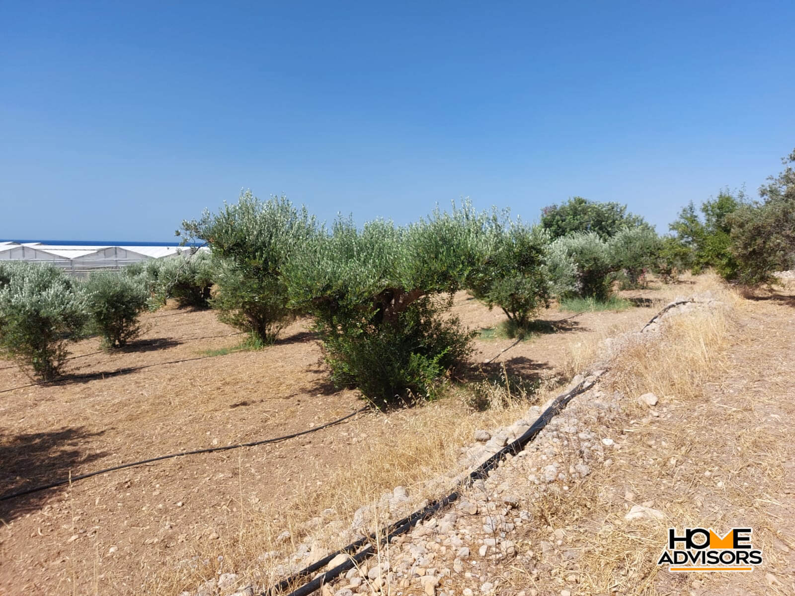 Seaview, 4000 sqm plot 3km from Ierapetra