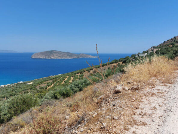 4000 sqm seaview plot in Tholos Kavousi | Crete