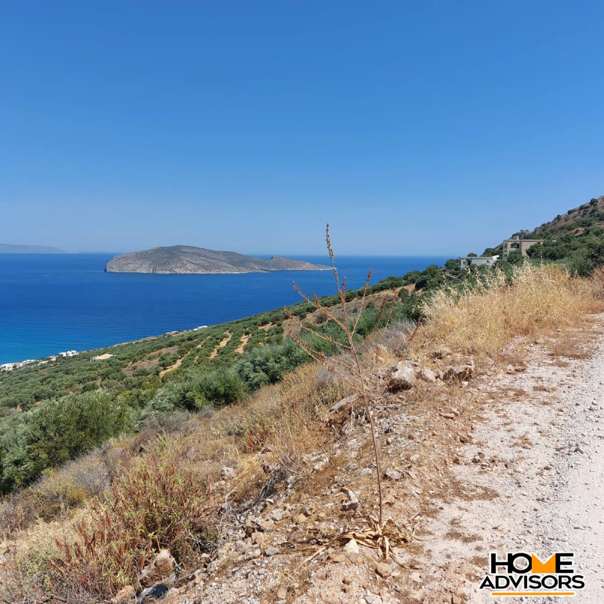 4000 sqm seaview plot in Tholos Kavousi | Crete