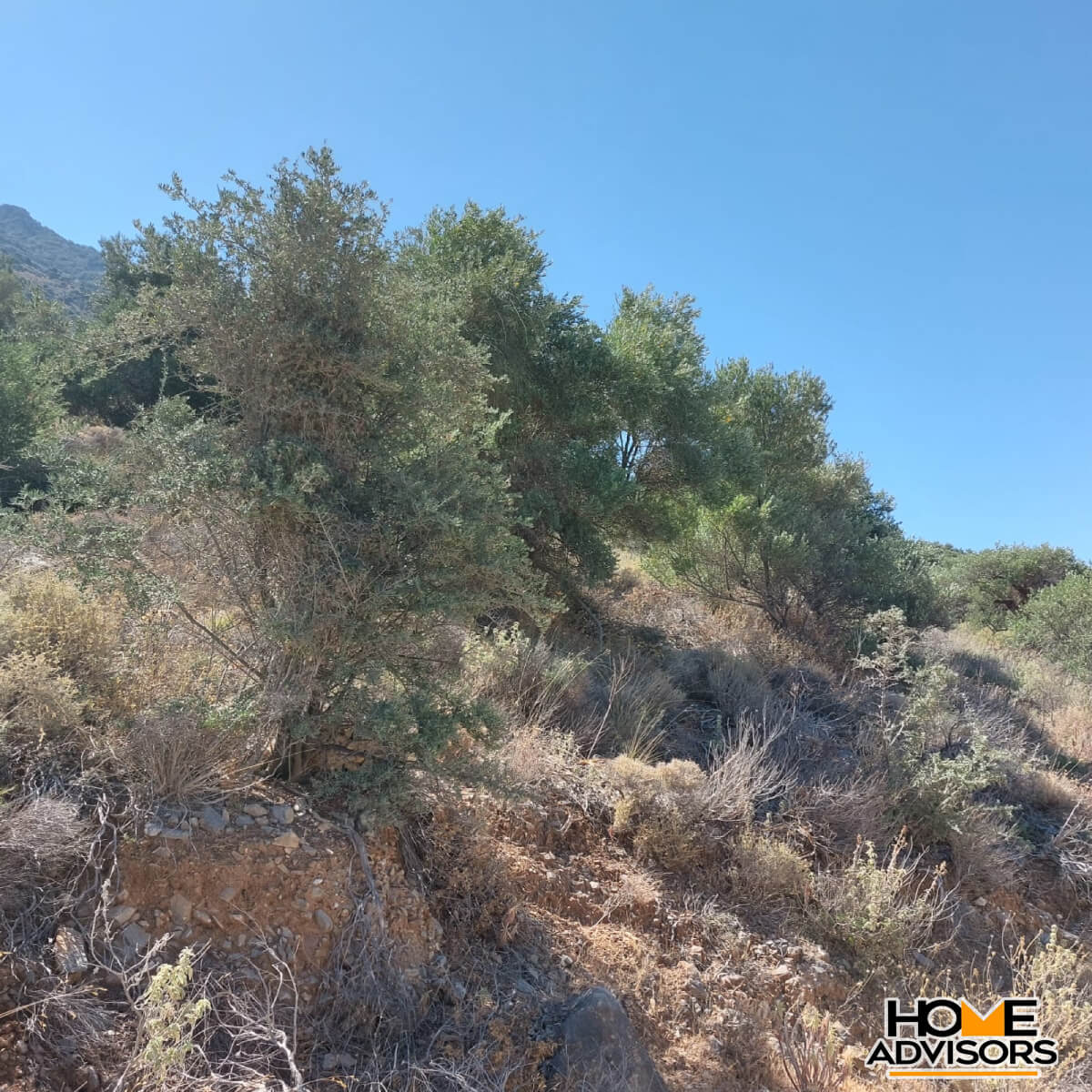 4000 sqm seaview plot in Tholos Kavousi | Crete