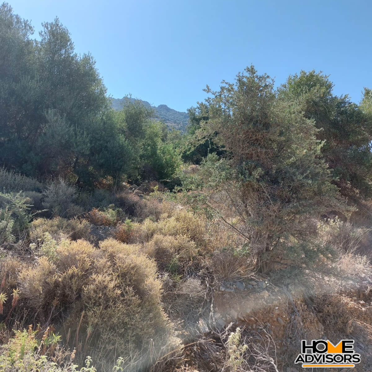 4000 sqm seaview plot in Tholos Kavousi | Crete