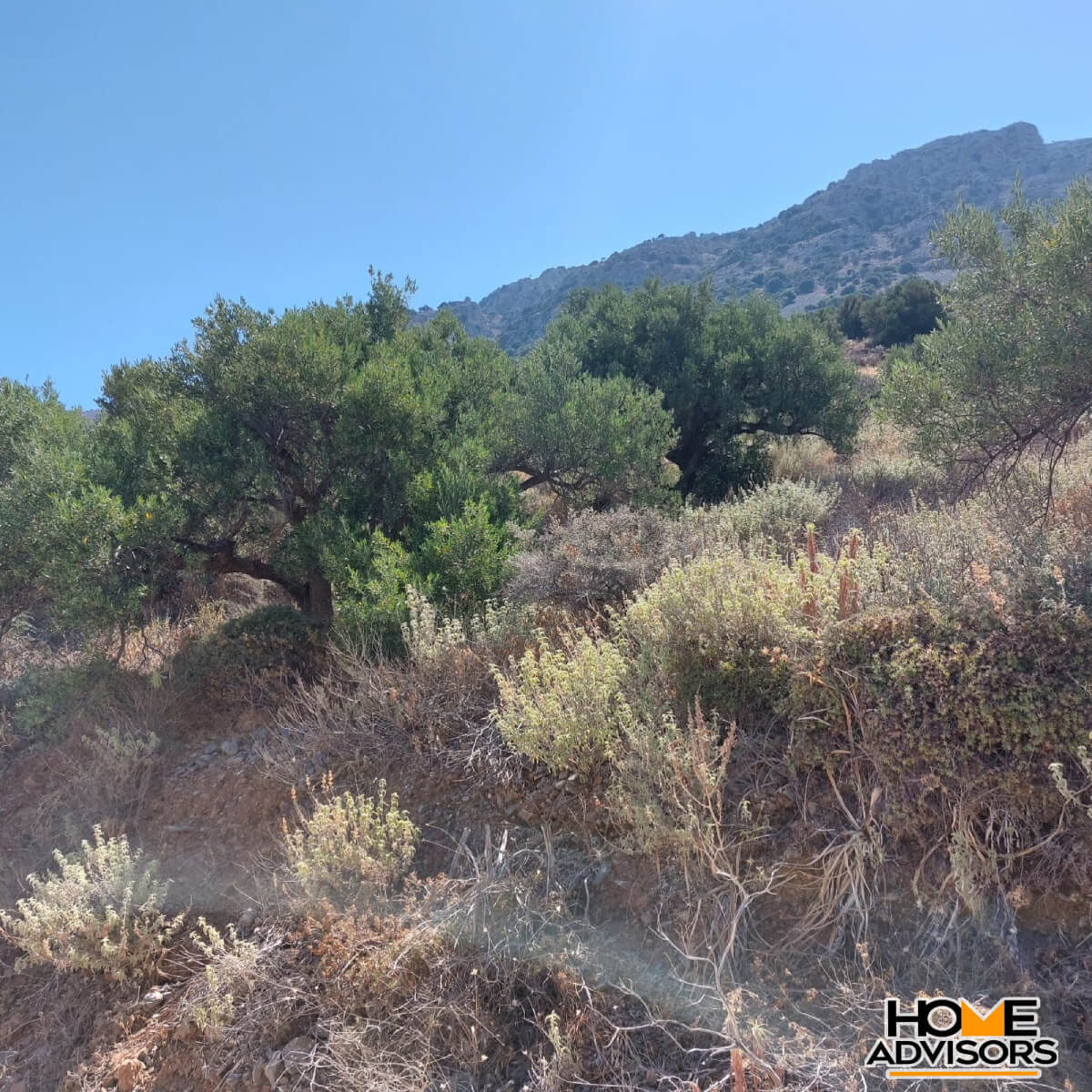 4000 sqm seaview plot in Tholos Kavousi | Crete