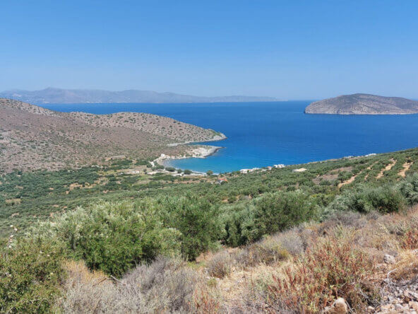 4000 sqm seaview plot in Tholos Kavousi | Crete