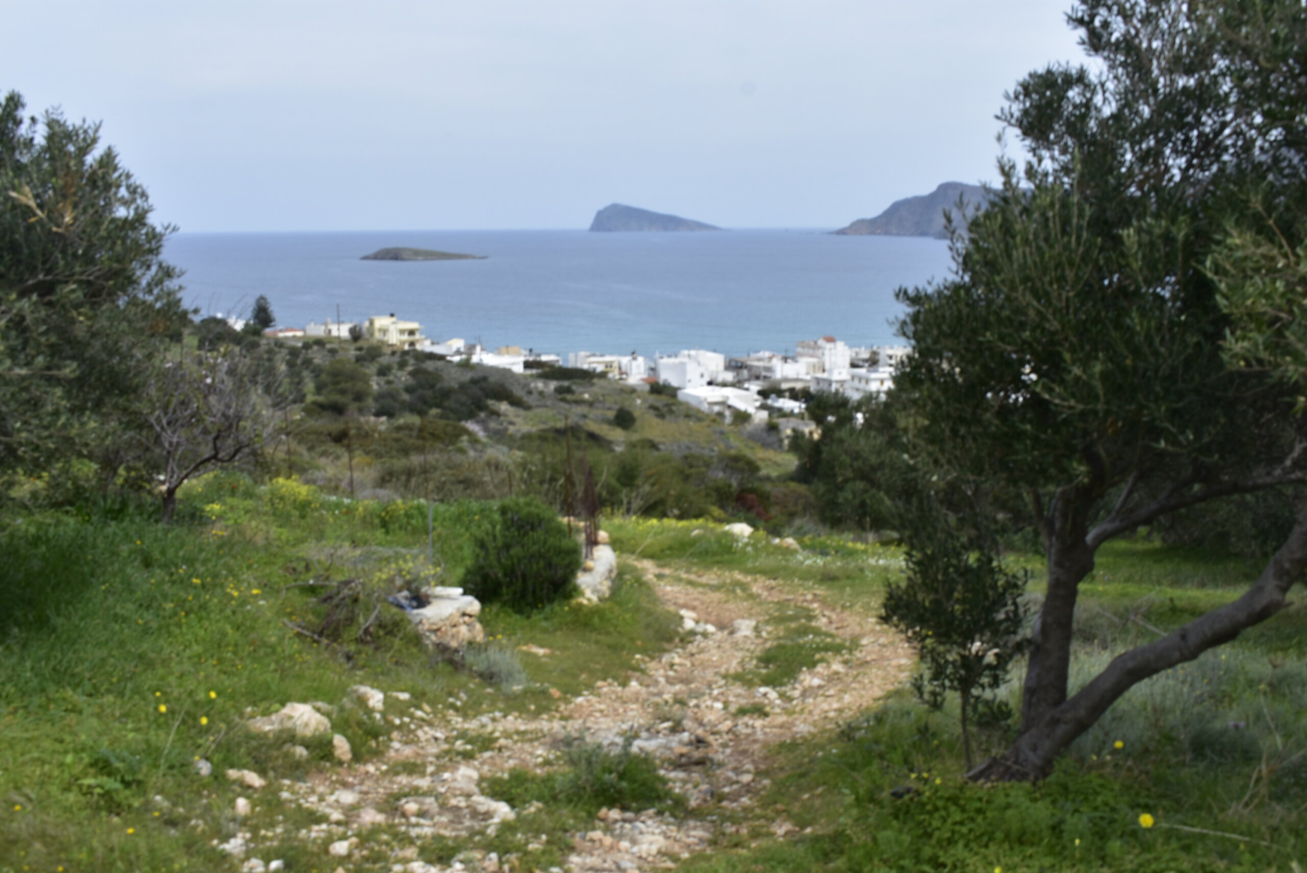 Ierapetra